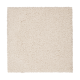 Splendid Freedom in Dovetail - Carpet by Mohawk Flooring