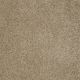 Poetic in Arizona Sand - Carpet by Shaw Flooring