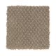 Soft Cheer in Velvet Brown - Carpet by Mohawk Flooring