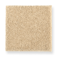 Pure Satisfaction in Homespun - Carpet by Mohawk Flooring