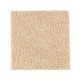 Casual Culture in Maple Tint - Carpet by Mohawk Flooring