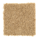 Witty Charm in Torch Light - Carpet by Mohawk Flooring
