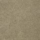 Luxury At Best in Himalaya - Carpet by Shaw Flooring