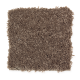 American Splendor III in Carob - Carpet by Mohawk Flooring