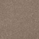 From The Heart I in Dream Catcher - Carpet by Shaw Flooring