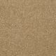 Our Delight I 15' in Straw Hat - Carpet by Shaw Flooring