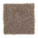 Sweet Reflection in Driftwood - Carpet by Mohawk Flooring