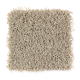 Bright Opportunity in Mushroom Cap - Carpet by Mohawk Flooring