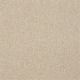 Different Times I 15 in Ecru - Carpet by Shaw Flooring