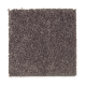 Eternal Allure I in Rustic Charm - Carpet by Mohawk Flooring