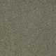 Great Effect II 12' in Alpine Fern - Carpet by Shaw Flooring