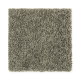 Brilliant Design in Cucumber - Carpet by Mohawk Flooring