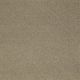 Smooth Silhouette in Himalaya - Carpet by Shaw Flooring