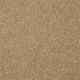 Different Times III 12 in Straw Hat - Carpet by Shaw Flooring