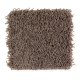 Creative Charm in Pine Cone - Carpet by Mohawk Flooring