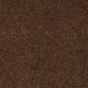 Sandy Hollow I 15' in Tortoise Shell - Carpet by Shaw Flooring