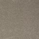 Sandy Hollow Classic I 12' in Wood Smoke - Carpet by Shaw Flooring