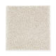 Exquisite Attraction in Enchanting - Carpet by Mohawk Flooring