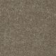 Dyersburg Classic 12' in Driftwood - Carpet by Shaw Flooring