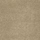 You Know It in Oakwood - Carpet by Shaw Flooring