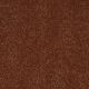 Secret Escape II 15' in Copper Kettle - Carpet by Shaw Flooring