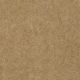 Newport in Golden Grain - Carpet by Shaw Flooring