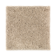 Style Objective in Soft Bamboo - Carpet by Mohawk Flooring
