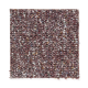 Memorabilia in Garden Red - Carpet by Mohawk Flooring