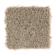 Bright Opportunity in Safari Tan - Carpet by Mohawk Flooring