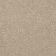 Our Delight III in Linen - Carpet by Shaw Flooring