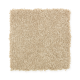 Elegant Appeal I in Autumn Glow - Carpet by Mohawk Flooring
