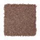 Soft Moment I in Frosted Berry - Carpet by Mohawk Flooring