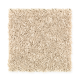 High Hand in Desert Villa - Carpet by Mohawk Flooring
