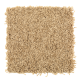 Modern Ease in Torch Light - Carpet by Mohawk Flooring