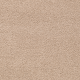 Gentle Essence in Cracked Wheat - Carpet by Mohawk Flooring