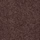 Everyday Easy in Violet Haze - Carpet by Shaw Flooring