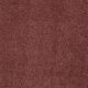 Quiet Comfort Classic II in Cranberry - Carpet by Shaw Flooring