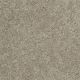 Extraordinary Touch I in Fleece - Carpet by Shaw Flooring