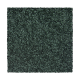 Striking Option in Eden - Carpet by Mohawk Flooring