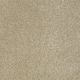 Poetic in Parchment - Carpet by Shaw Flooring