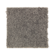Top Card in Rolling Thunder - Carpet by Mohawk Flooring