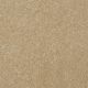 On Going II 12 in Butter - Carpet by Shaw Flooring