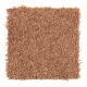 Sassy Arrangement in Sweet Potato - Carpet by Mohawk Flooring