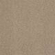 Secret Escape II 12 in Straw Hat - Carpet by Shaw Flooring