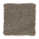 Delightful Cheer in Homespun - Carpet by Mohawk Flooring