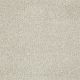 Brilliant III in Khaki (t) - Carpet by Shaw Flooring