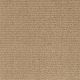 Great Start in Enlightened - Carpet by Shaw Flooring