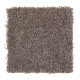 Tempting Example in Mineral Brown - Carpet by Mohawk Flooring