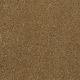 From The Heart II in Honey - Carpet by Shaw Flooring