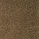 Luxury At Best in Southern Andes - Carpet by Shaw Flooring